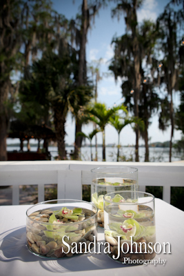 Best Paradise Cove at Buena Vista Watersports in Orlando, Florida wedding photographer - Sandra Johnson (SJFoto.com)